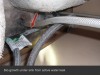 Faucet-Leak-Mold-San-Diego