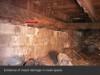 Termite-Damage-San-Diego