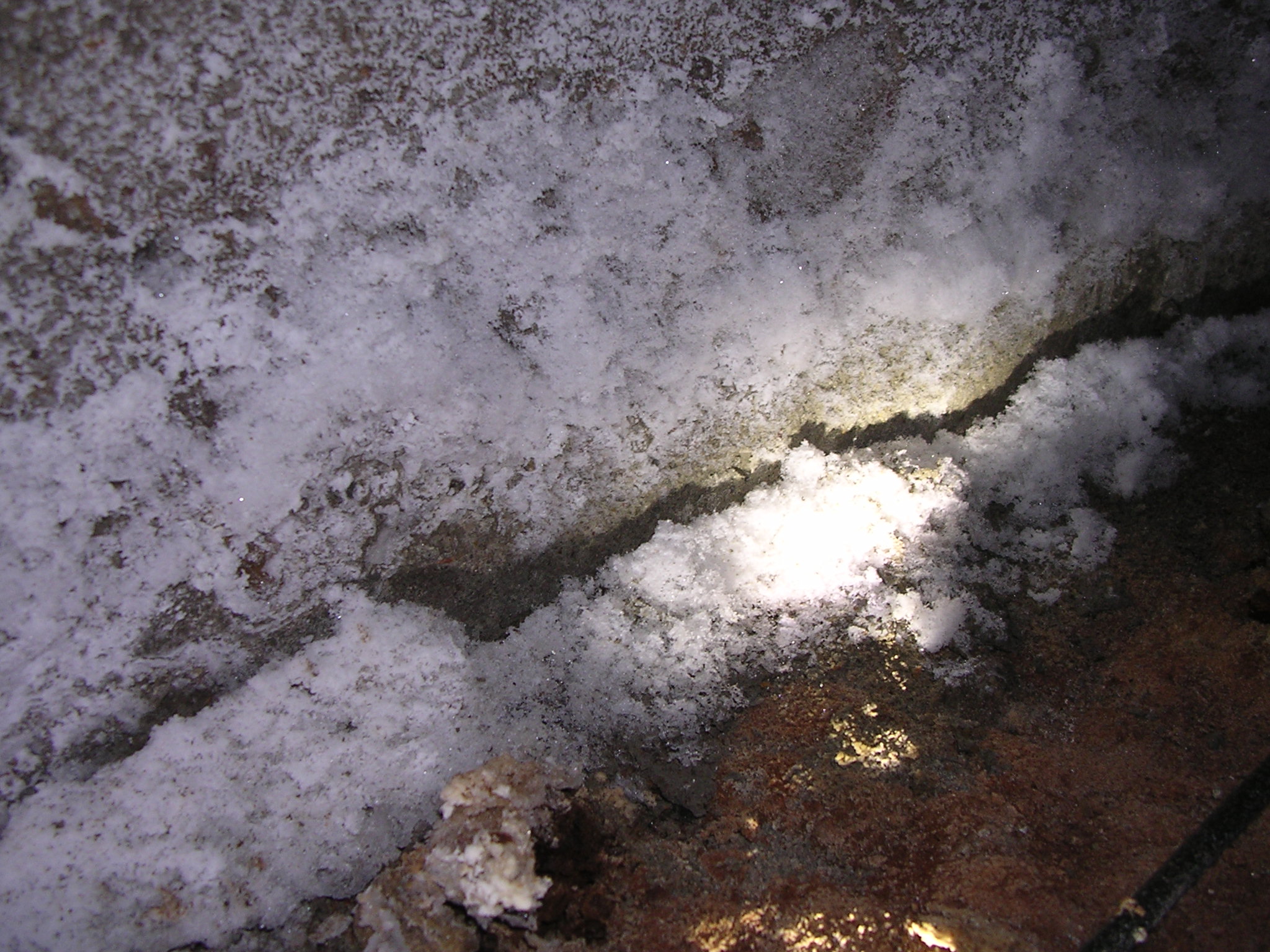 efflorescence in crawlspace