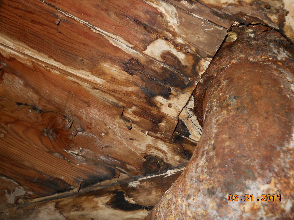 floor framing damage san diego