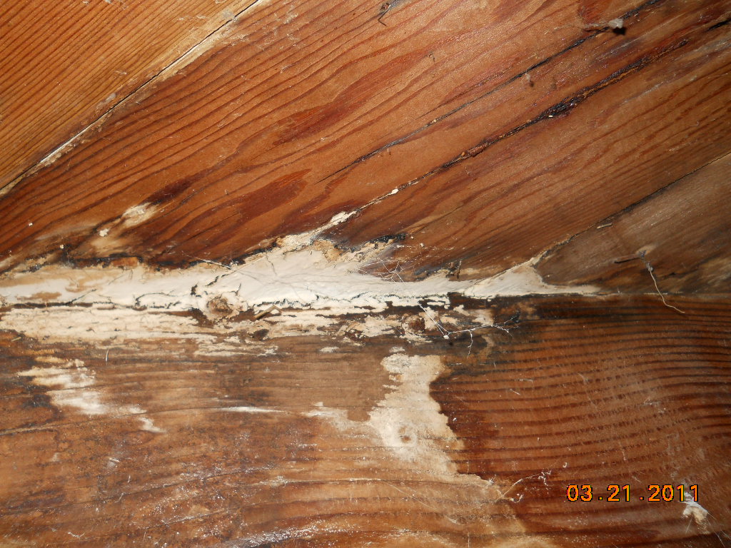 floor damage home inspection san diego