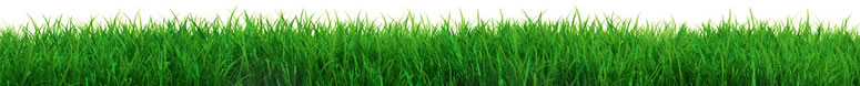 grass banner