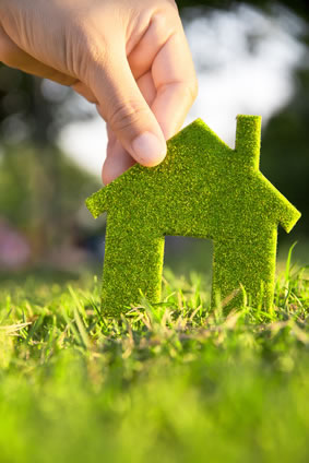 house made of grass